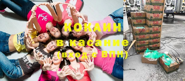 крисы Баксан