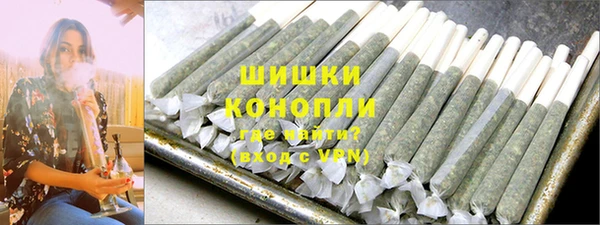 крисы Баксан